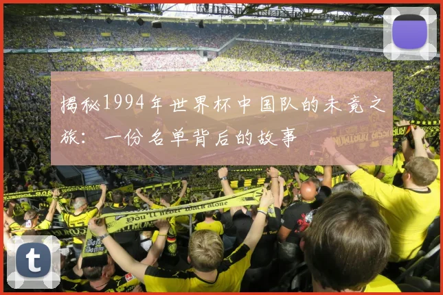 揭秘1994年世界杯中国队的未竟之旅：一份名单背后的故事