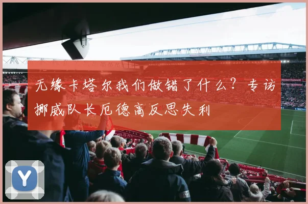 无缘卡塔尔我们做错了什么?专访挪威队长厄德高反思失利