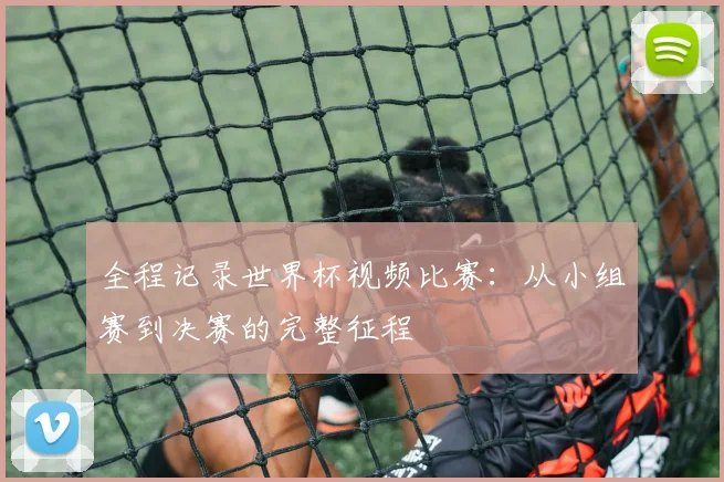 全程记录世界杯视频比赛：从小组赛到决赛的完整征程
