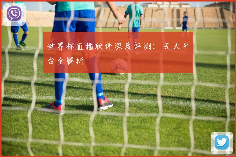 世界杯直播软件深度评测：五大平台全解析