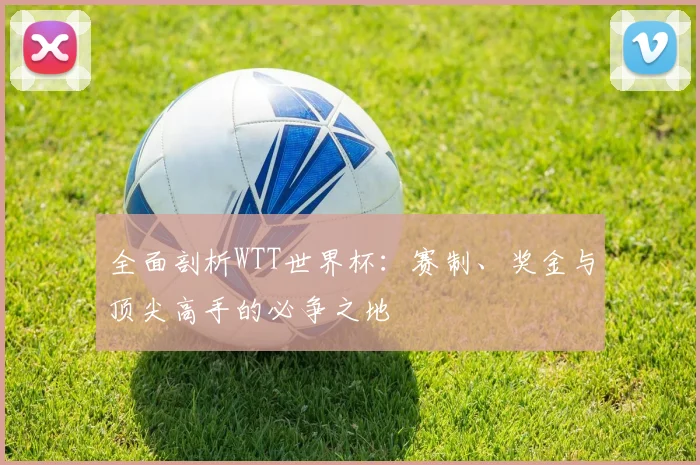 全面剖析WTT世界杯：赛制、奖金与顶尖高手的必争之地