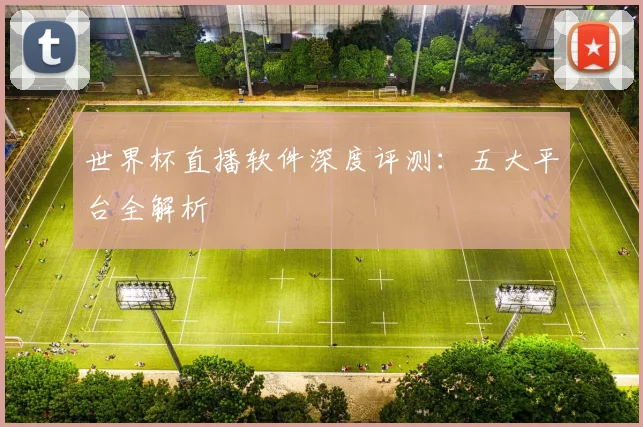 世界杯直播软件深度评测：五大平台全解析