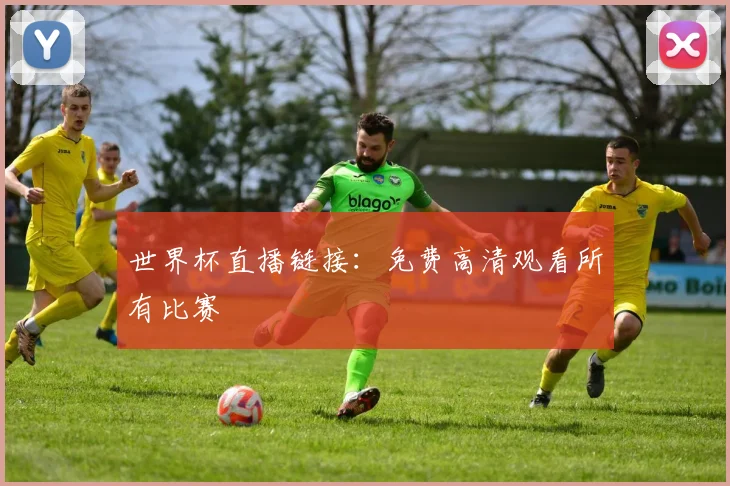 世界杯直播链接：免费高清观看所有比赛