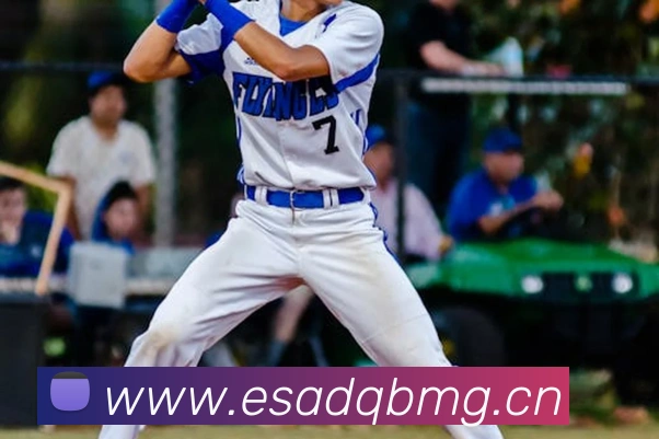 星空官方登录入口APP 封面图