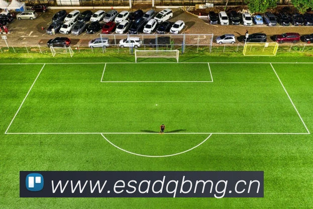 数据防护可视化